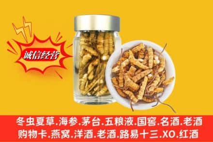 信阳市罗山回收散虫草