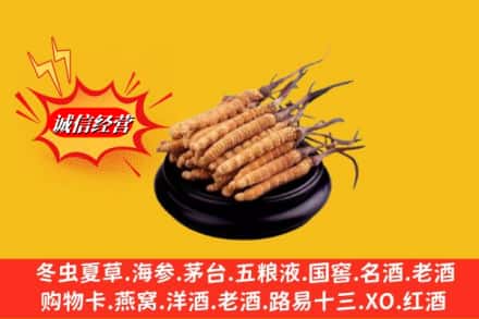 信阳市罗山名酒回收冬虫夏草.jpg